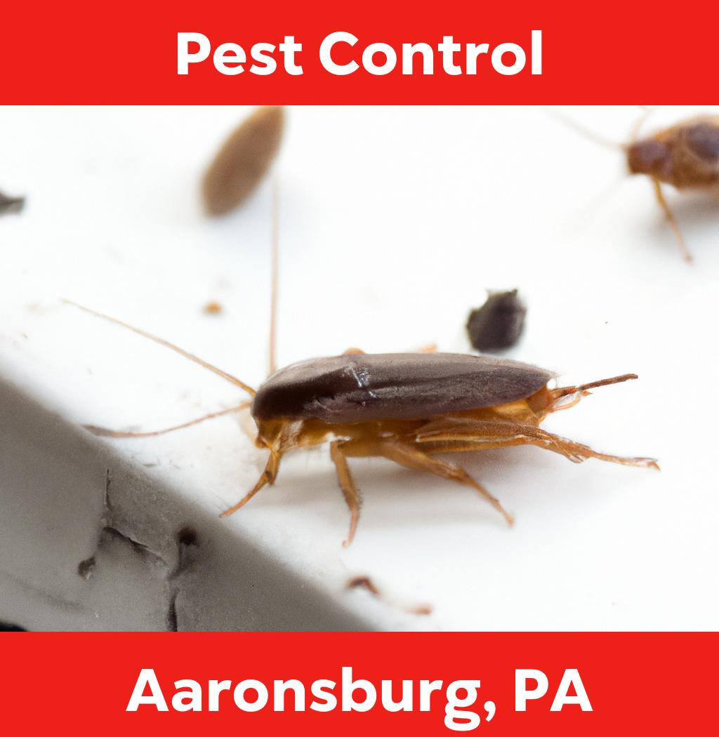 pest control in Aaronsburg Pennsylvania