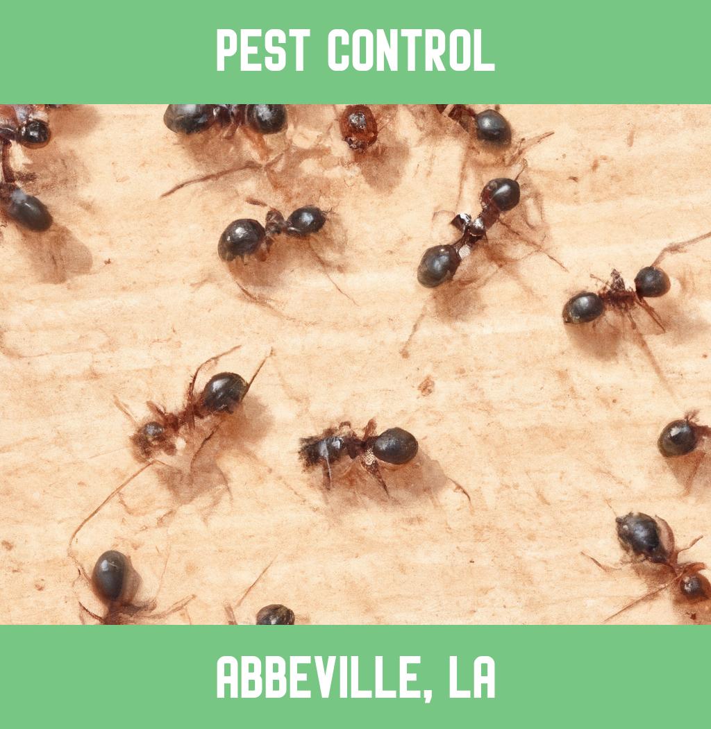 pest control in Abbeville Louisiana