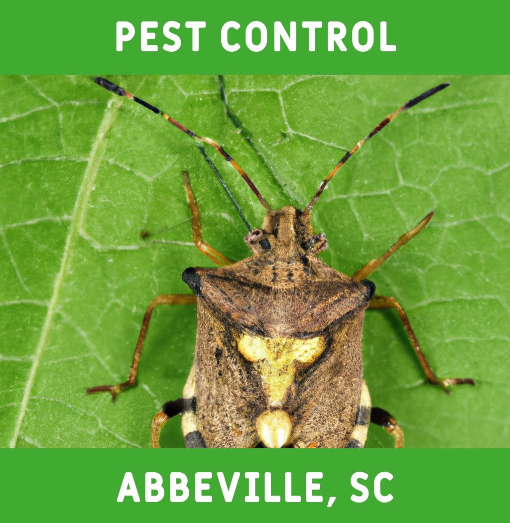 pest control in Abbeville South Carolina