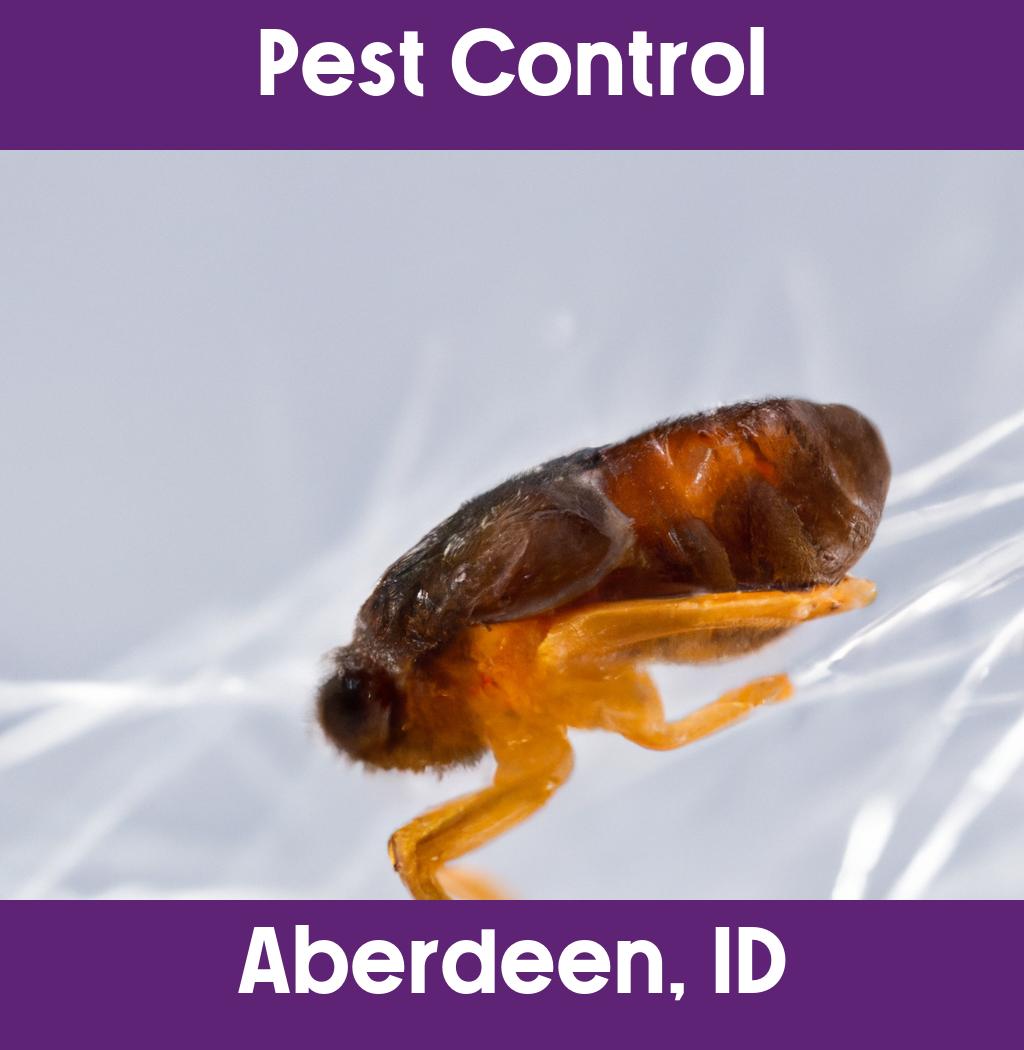 pest control in Aberdeen Idaho