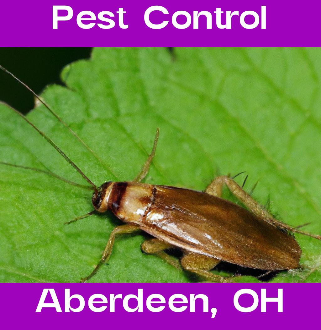 pest control in Aberdeen Ohio