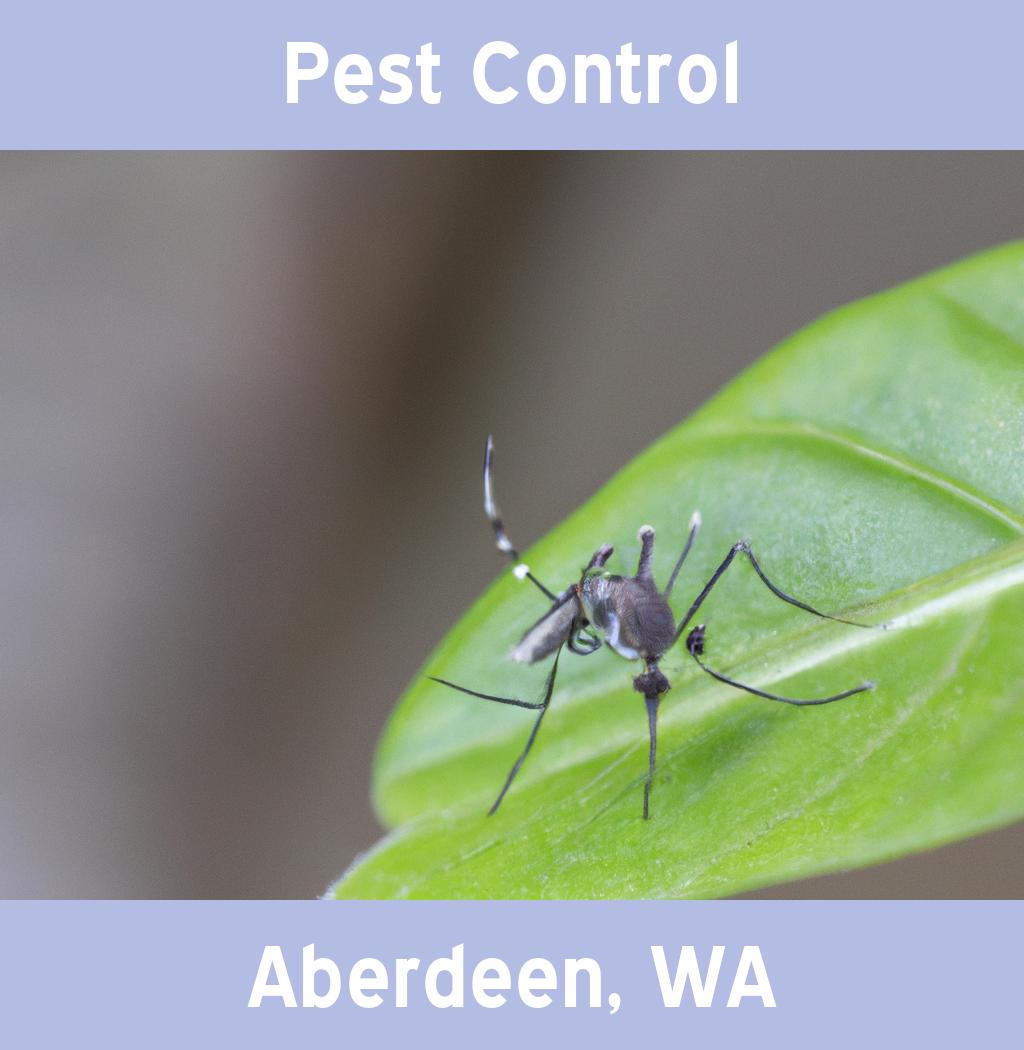 pest control in Aberdeen Washington