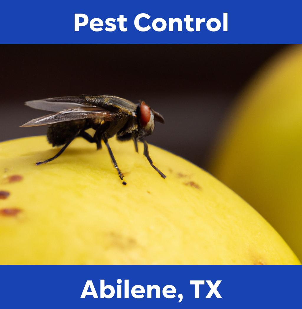 pest control in Abilene Texas