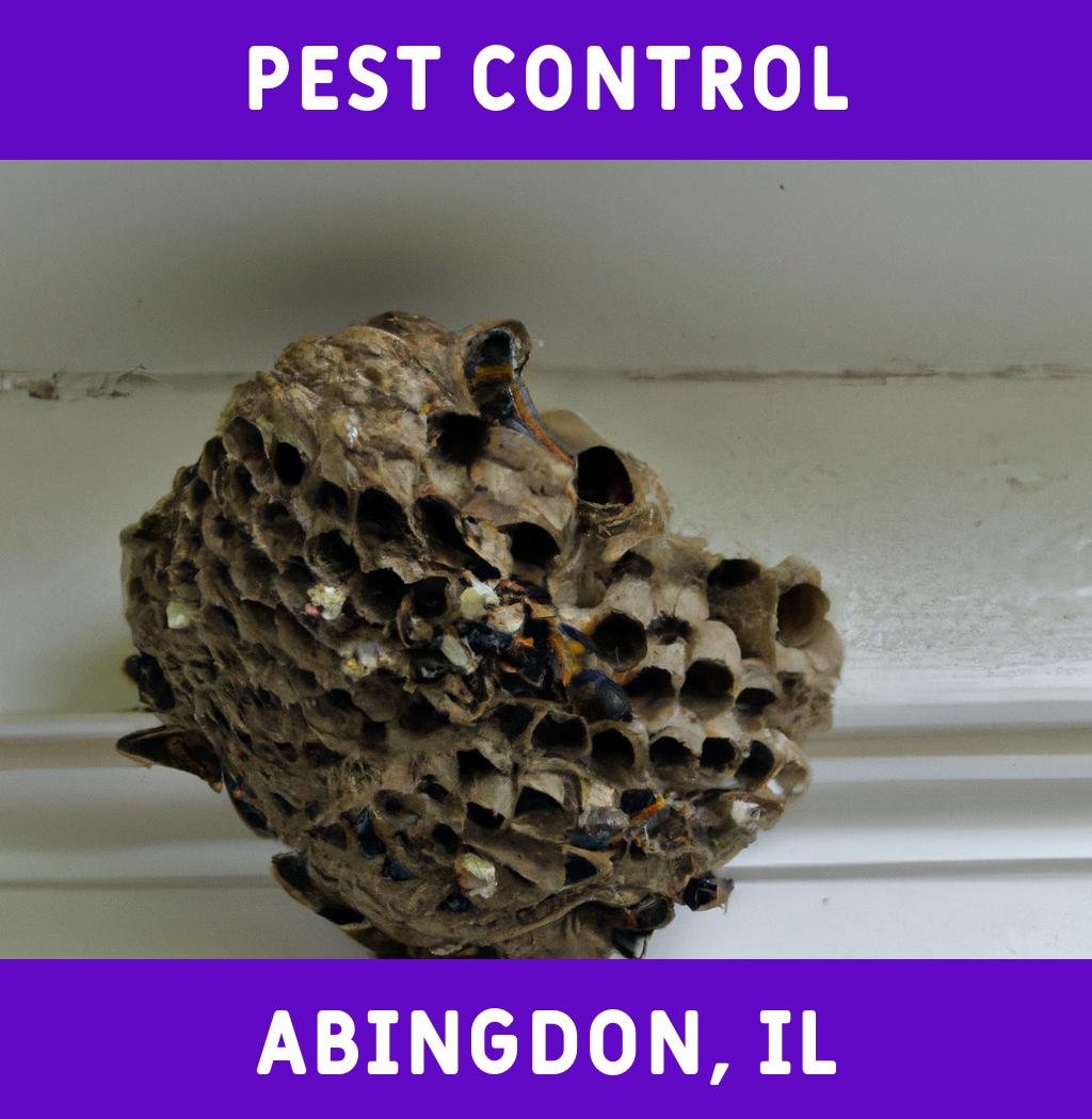 pest control in Abingdon Illinois