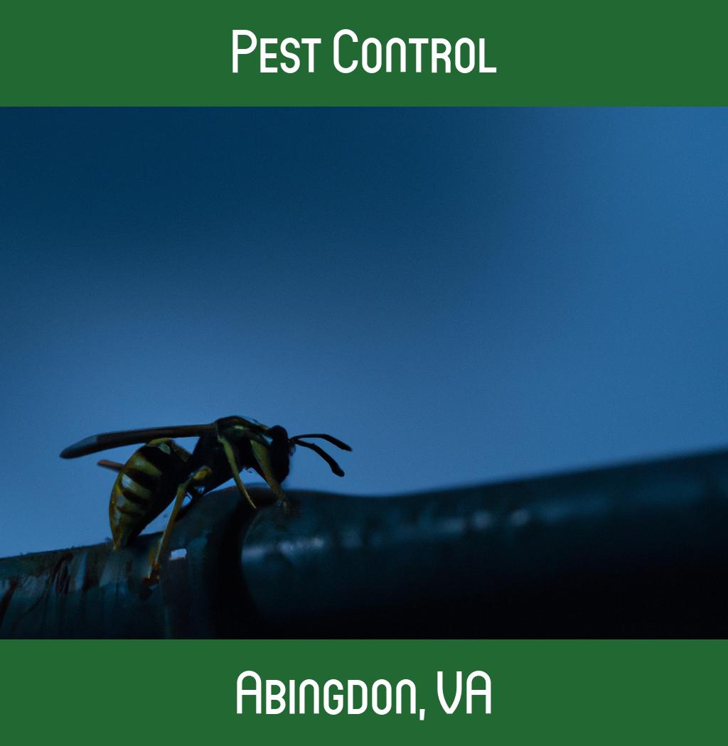 pest control in Abingdon Virginia