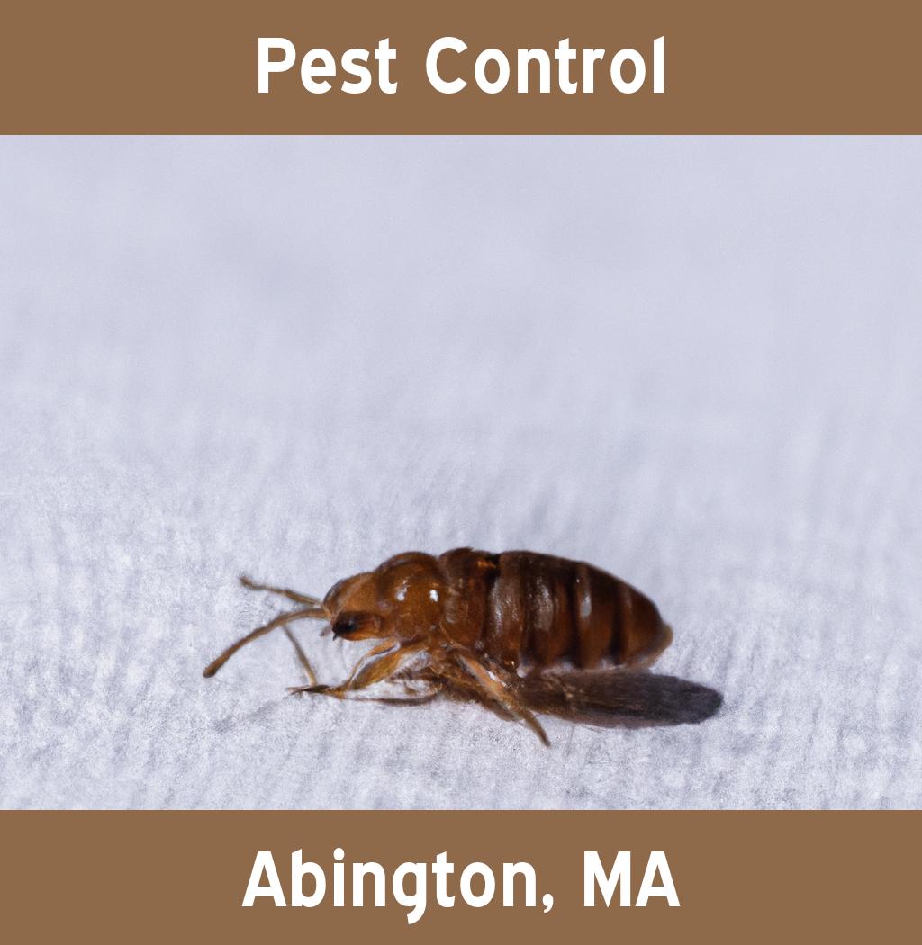 pest control in Abington Massachusetts