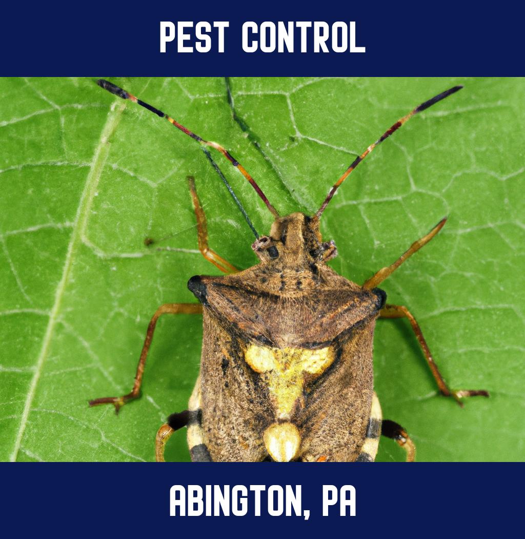 pest control in Abington Pennsylvania