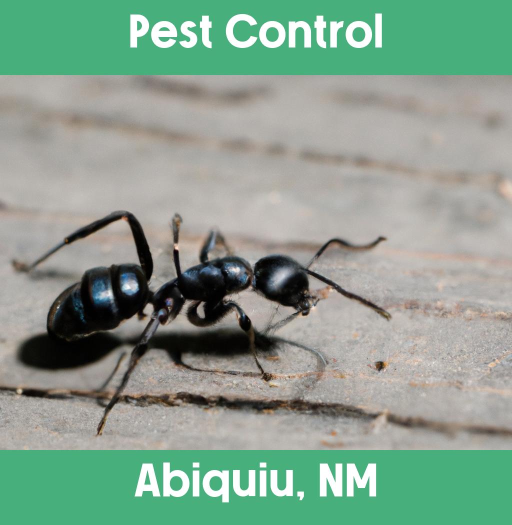 pest control in Abiquiu New Mexico