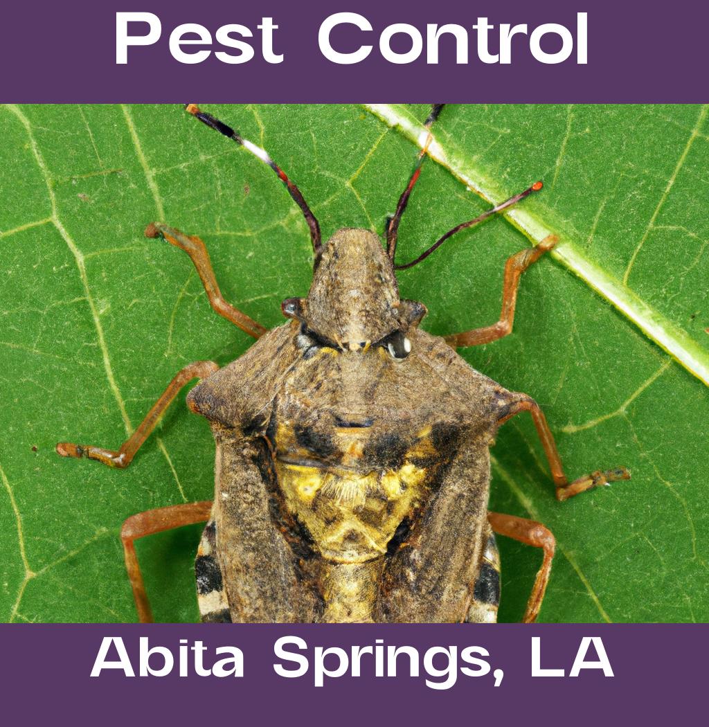 pest control in Abita Springs Louisiana