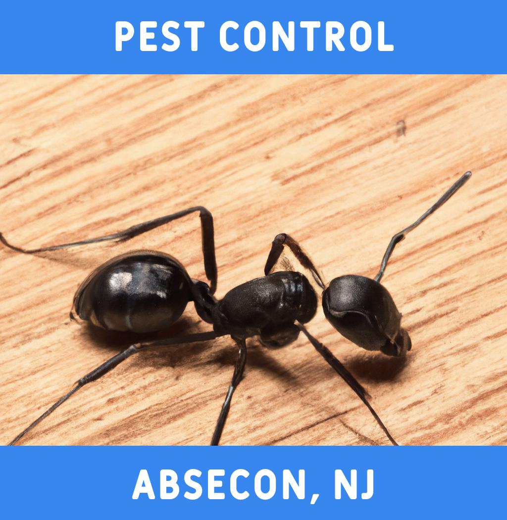 pest control in Absecon New Jersey