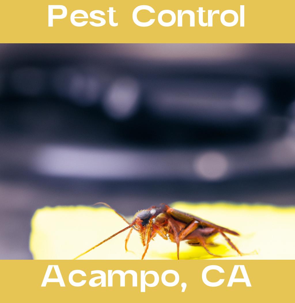 pest control in Acampo California