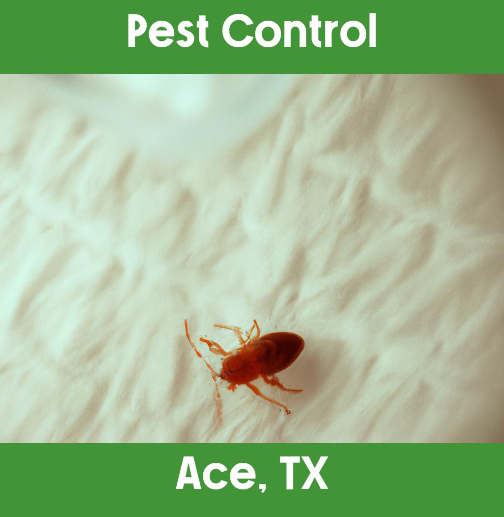 pest control in Ace Texas