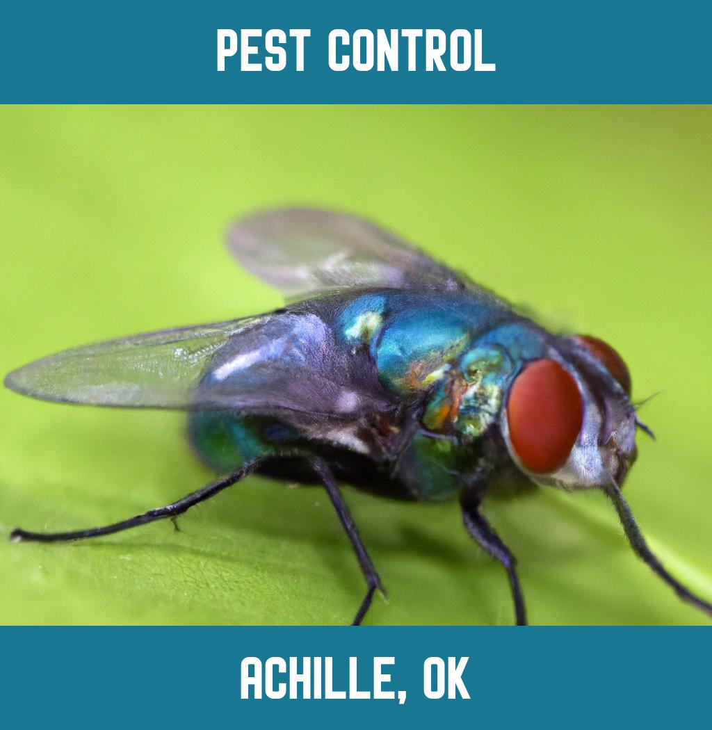 pest control in Achille Oklahoma