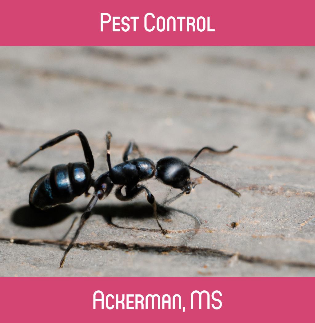 pest control in Ackerman Mississippi