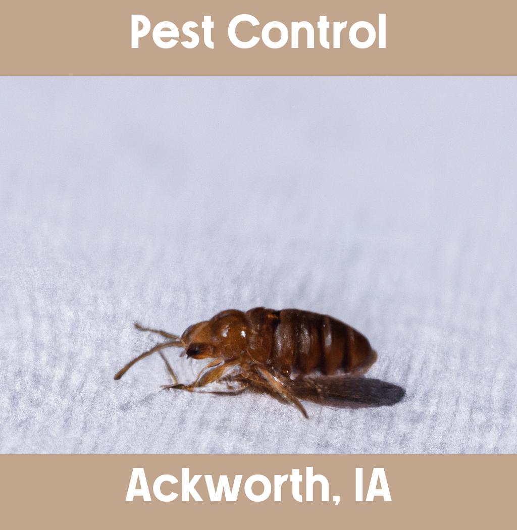 pest control in Ackworth Iowa