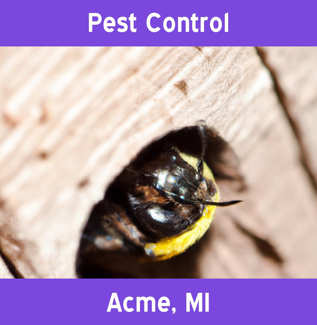 pest control in Acme Michigan