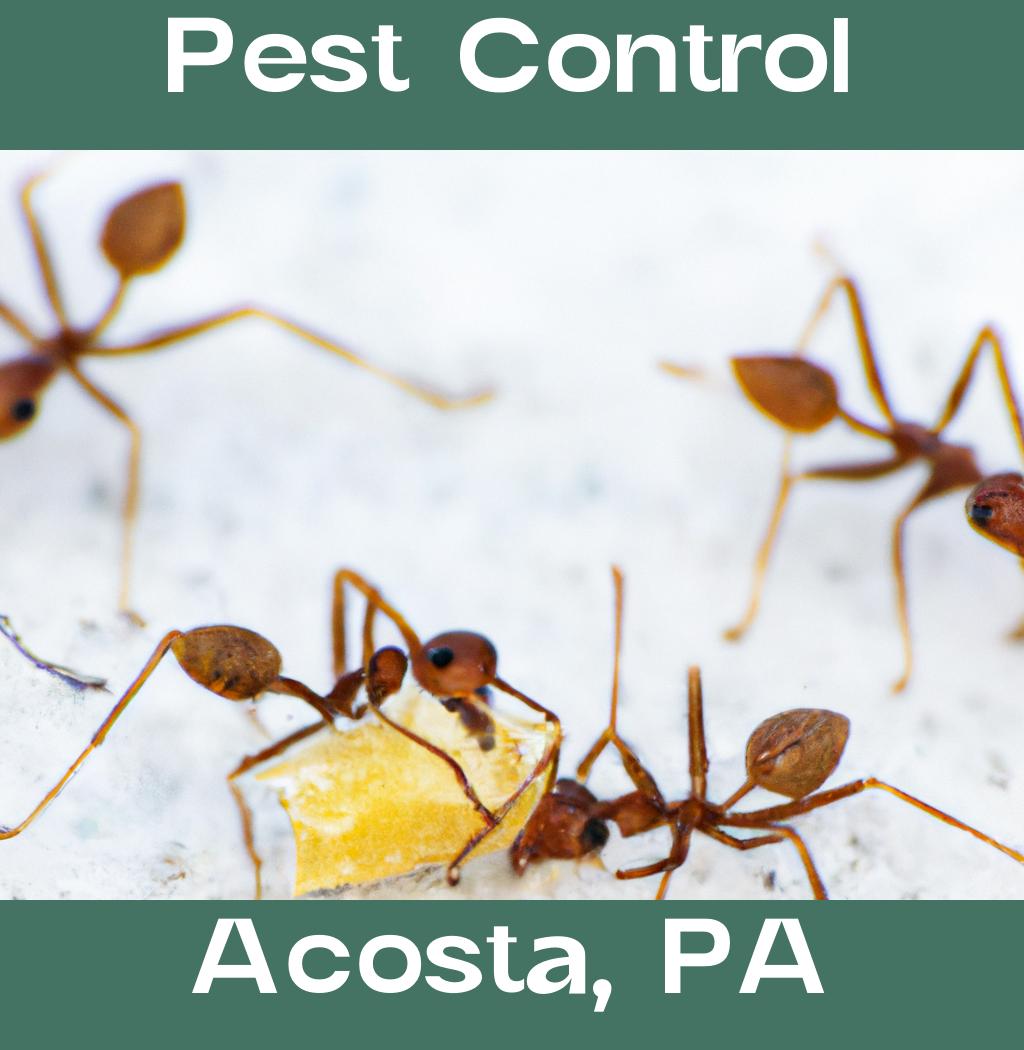 pest control in Acosta Pennsylvania