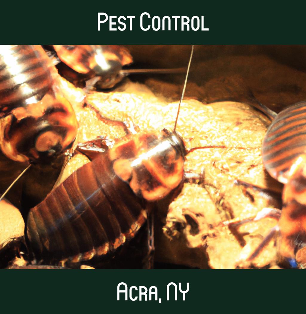 pest control in Acra New York