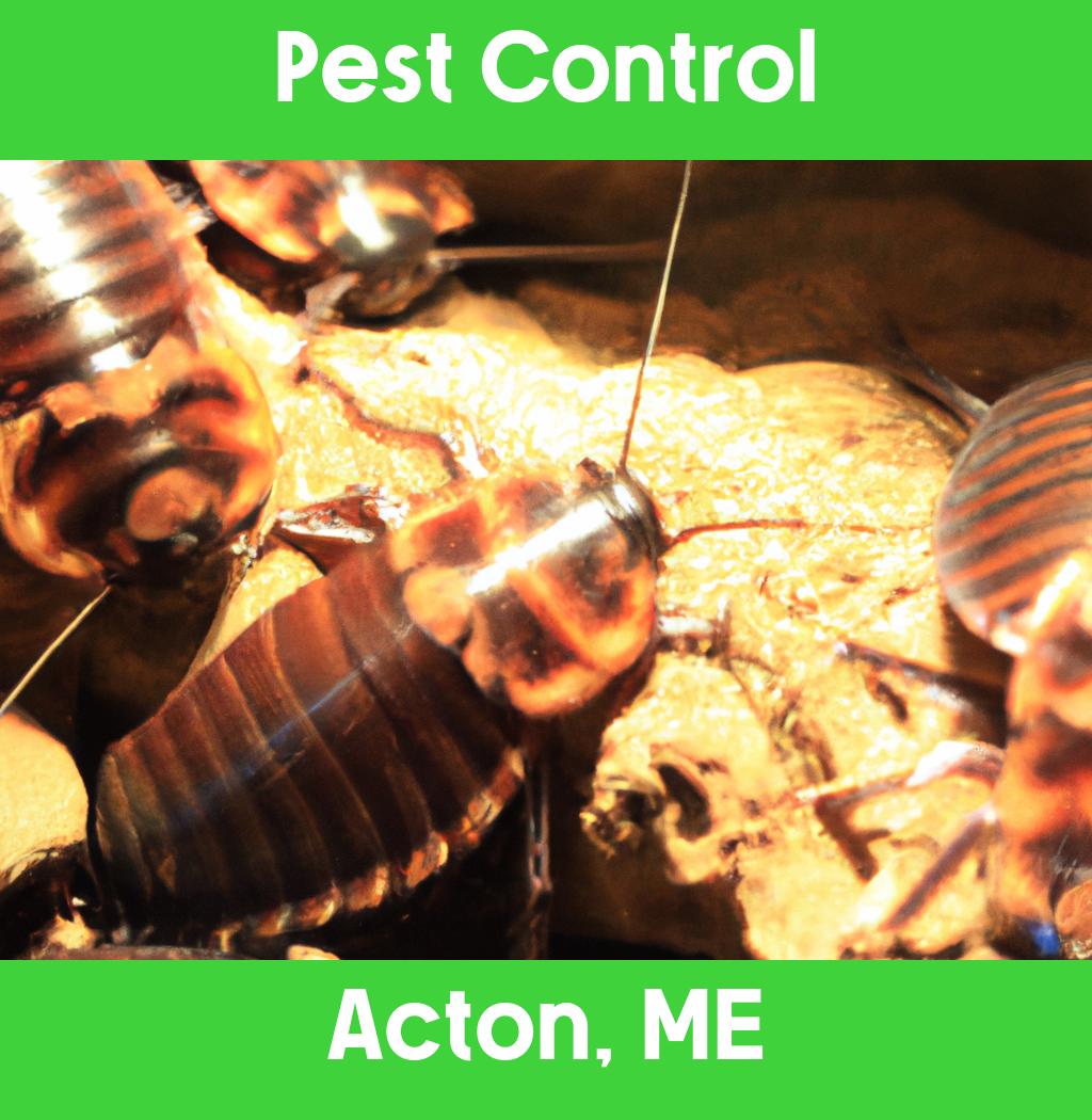 pest control in Acton Maine