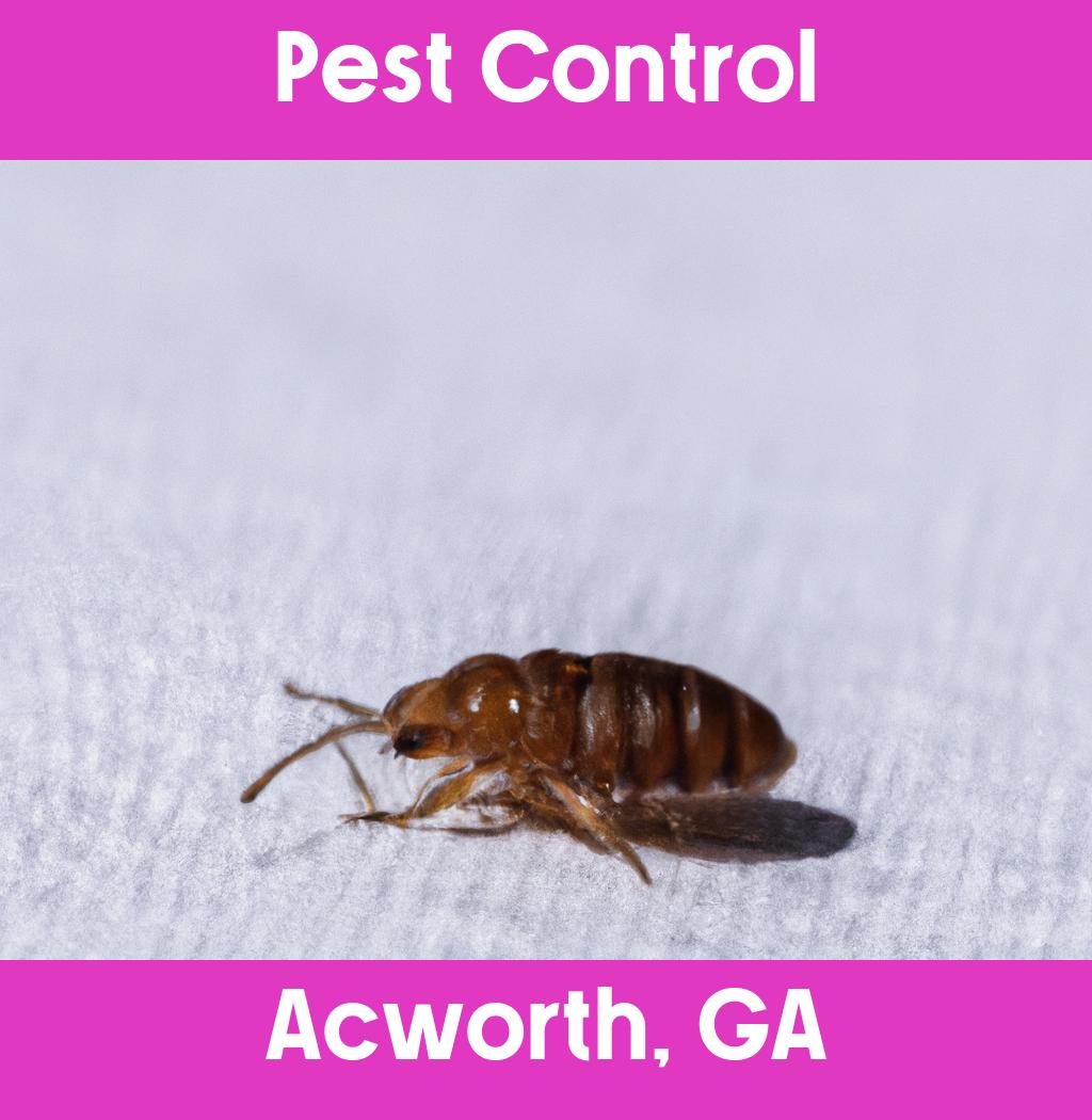 pest control in Acworth Georgia