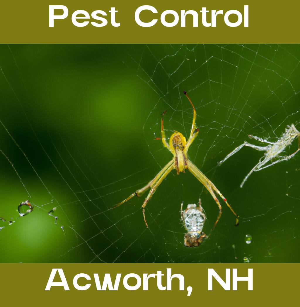 pest control in Acworth New Hampshire