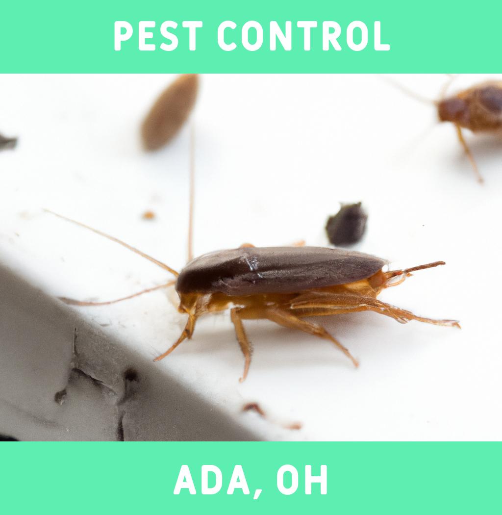 pest control in Ada Ohio