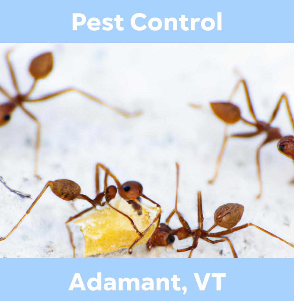 pest control in Adamant Vermont