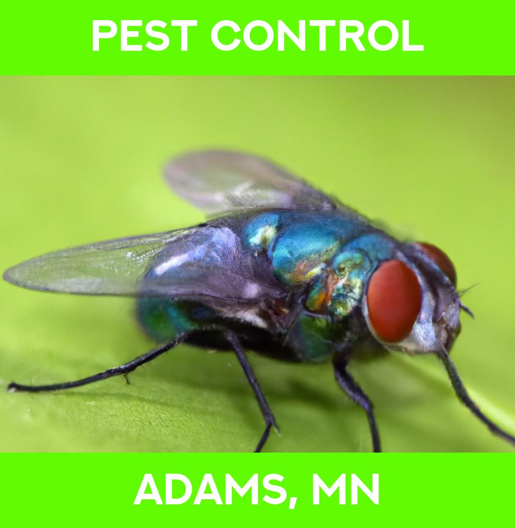 pest control in Adams Minnesota