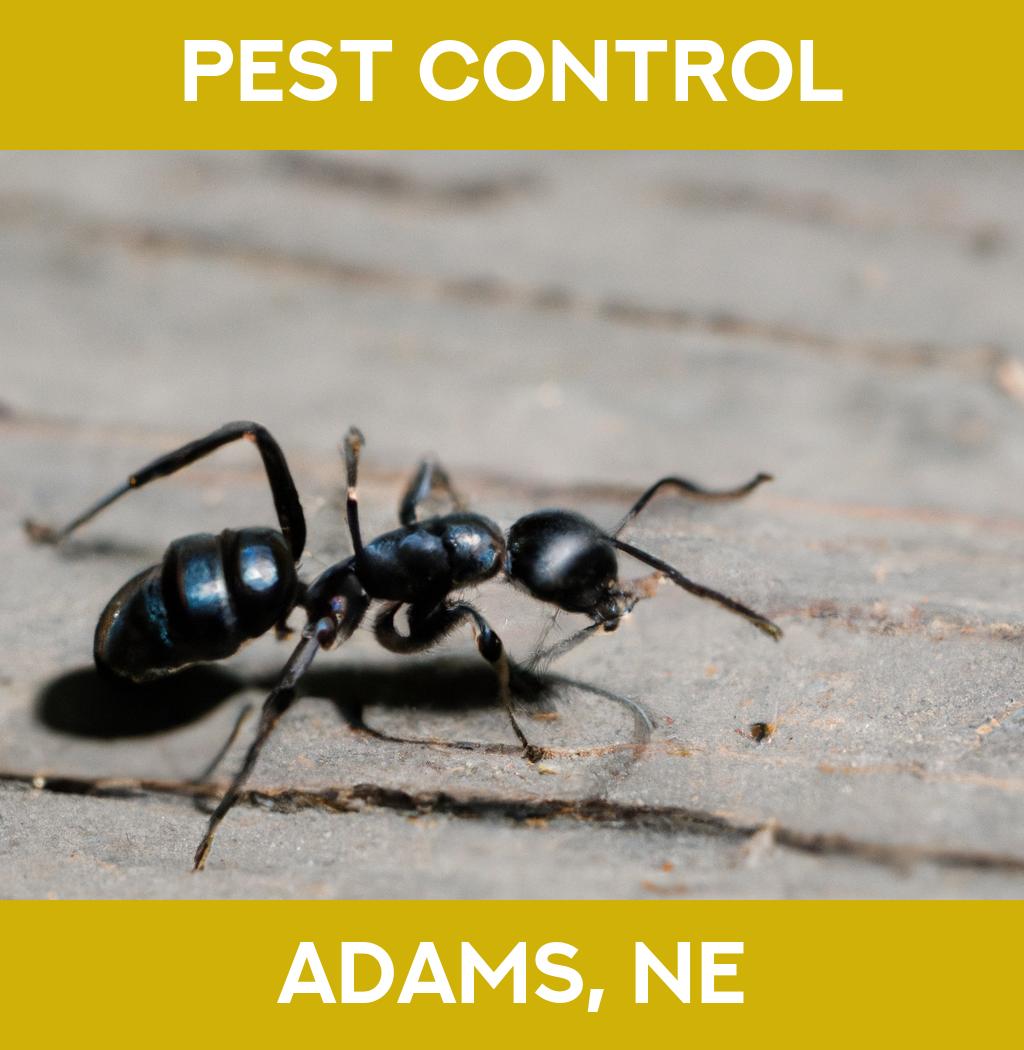 pest control in Adams Nebraska