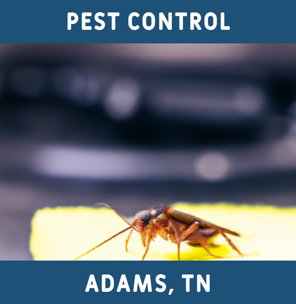 pest control in Adams Tennessee