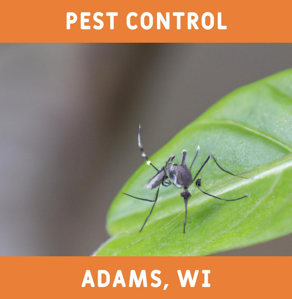 pest control in Adams Wisconsin
