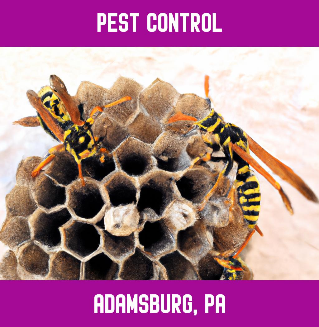 pest control in Adamsburg Pennsylvania