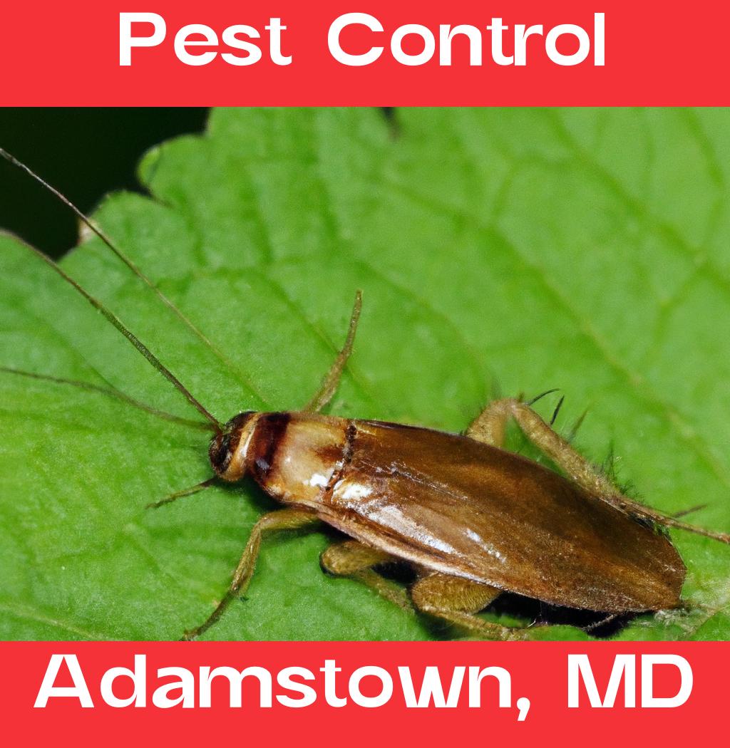 pest control in Adamstown Maryland