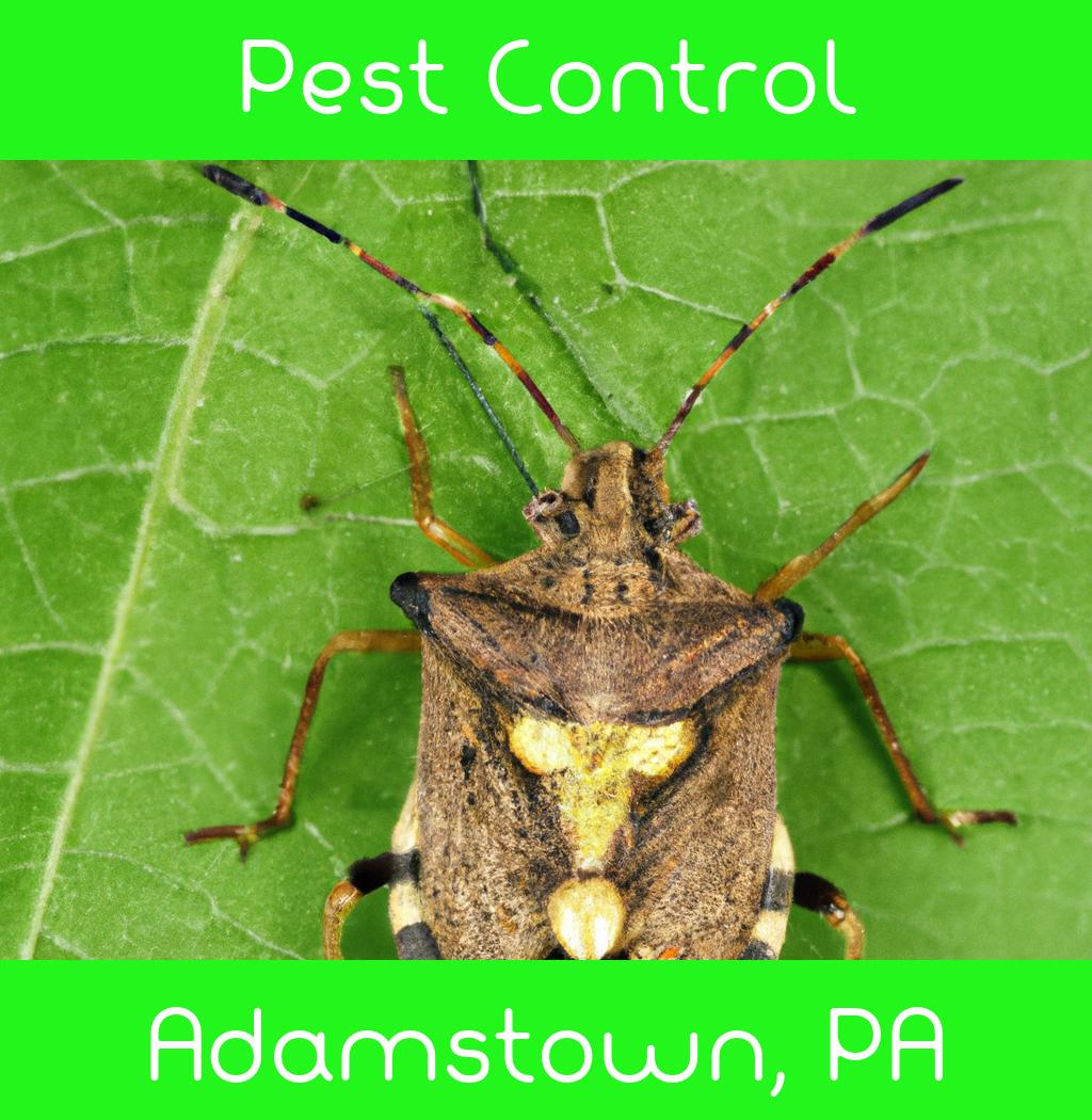 pest control in Adamstown Pennsylvania