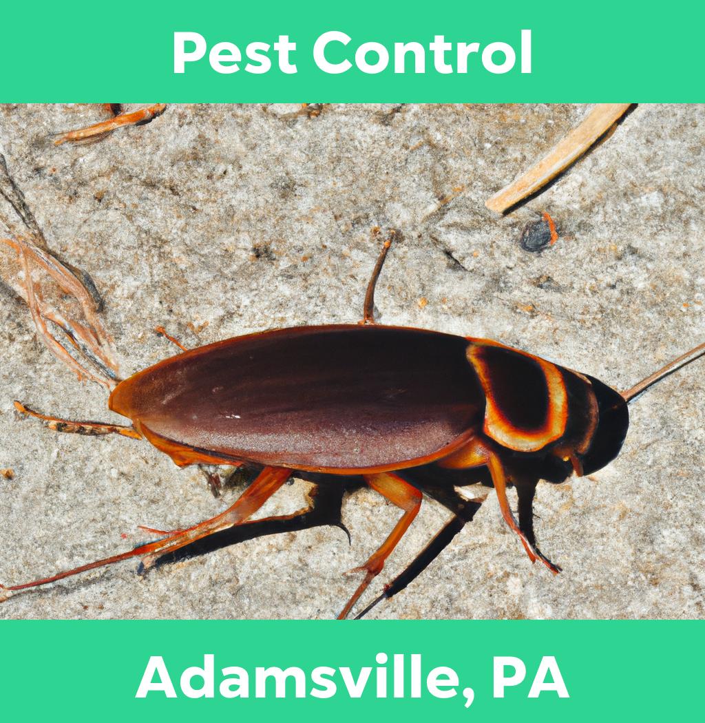 pest control in Adamsville Pennsylvania
