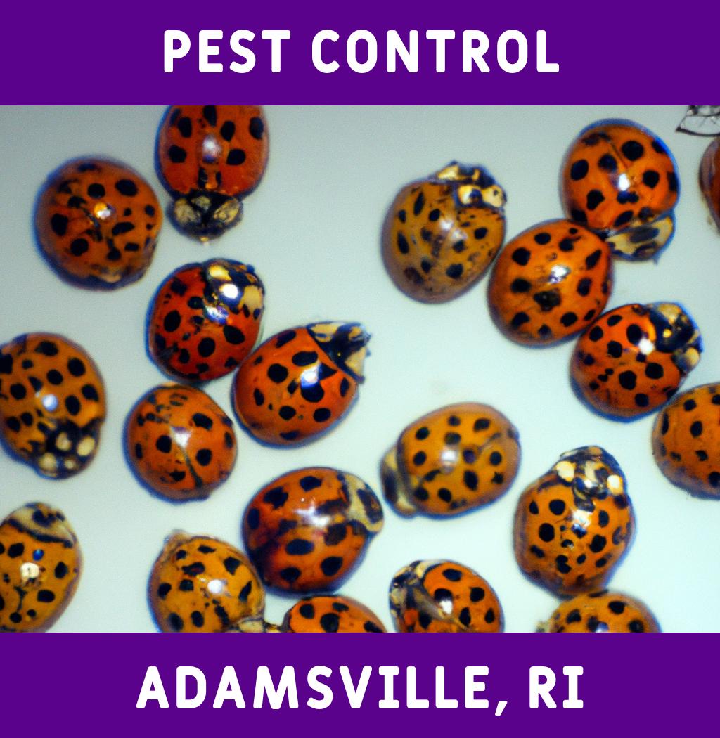pest control in Adamsville Rhode Island