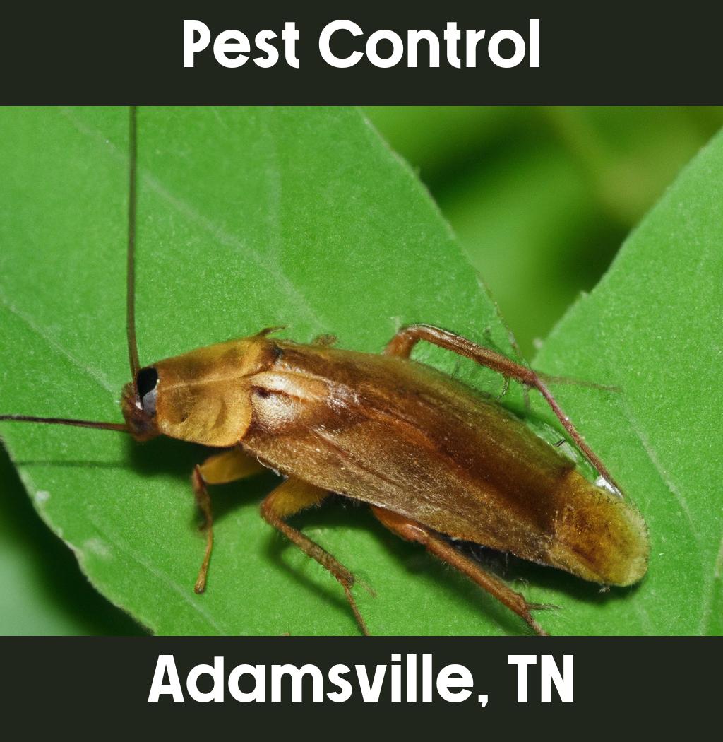 pest control in Adamsville Tennessee