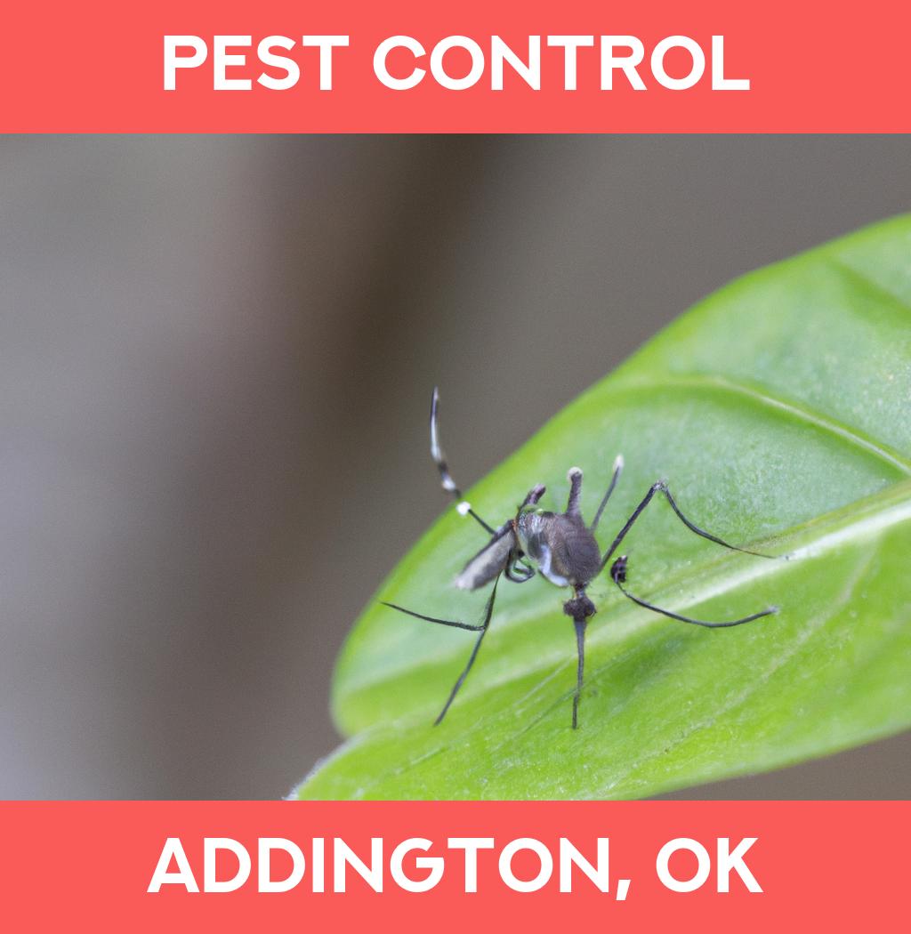 pest control in Addington Oklahoma