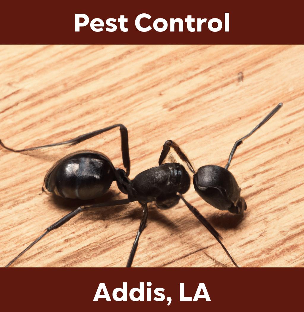 pest control in Addis Louisiana