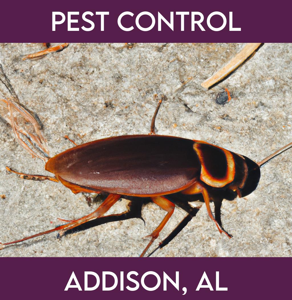 pest control in Addison Alabama