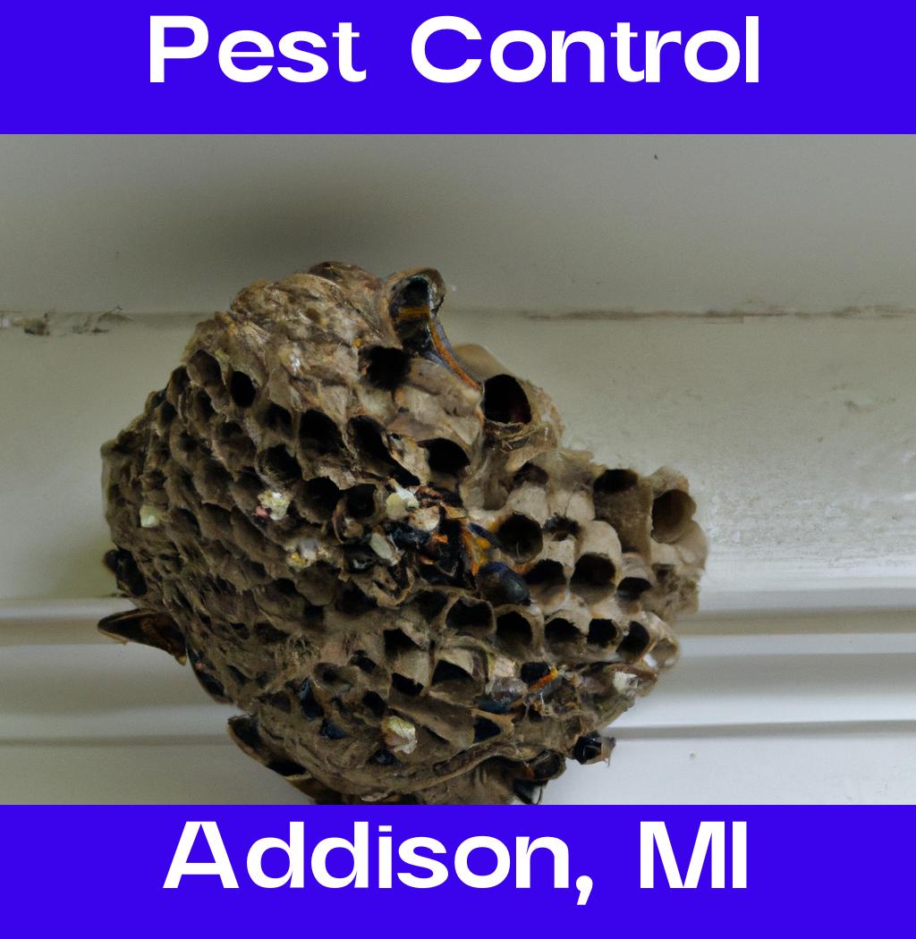 pest control in Addison Michigan