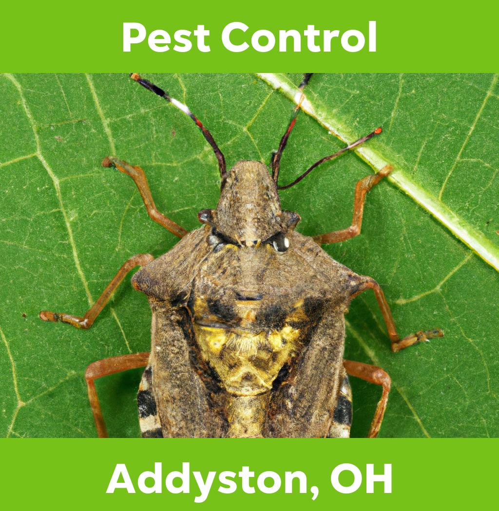 pest control in Addyston Ohio