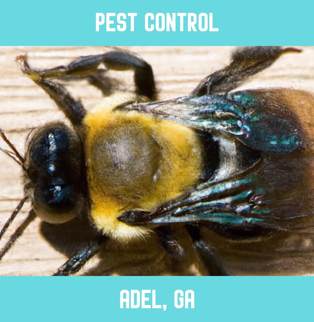 pest control in Adel Georgia