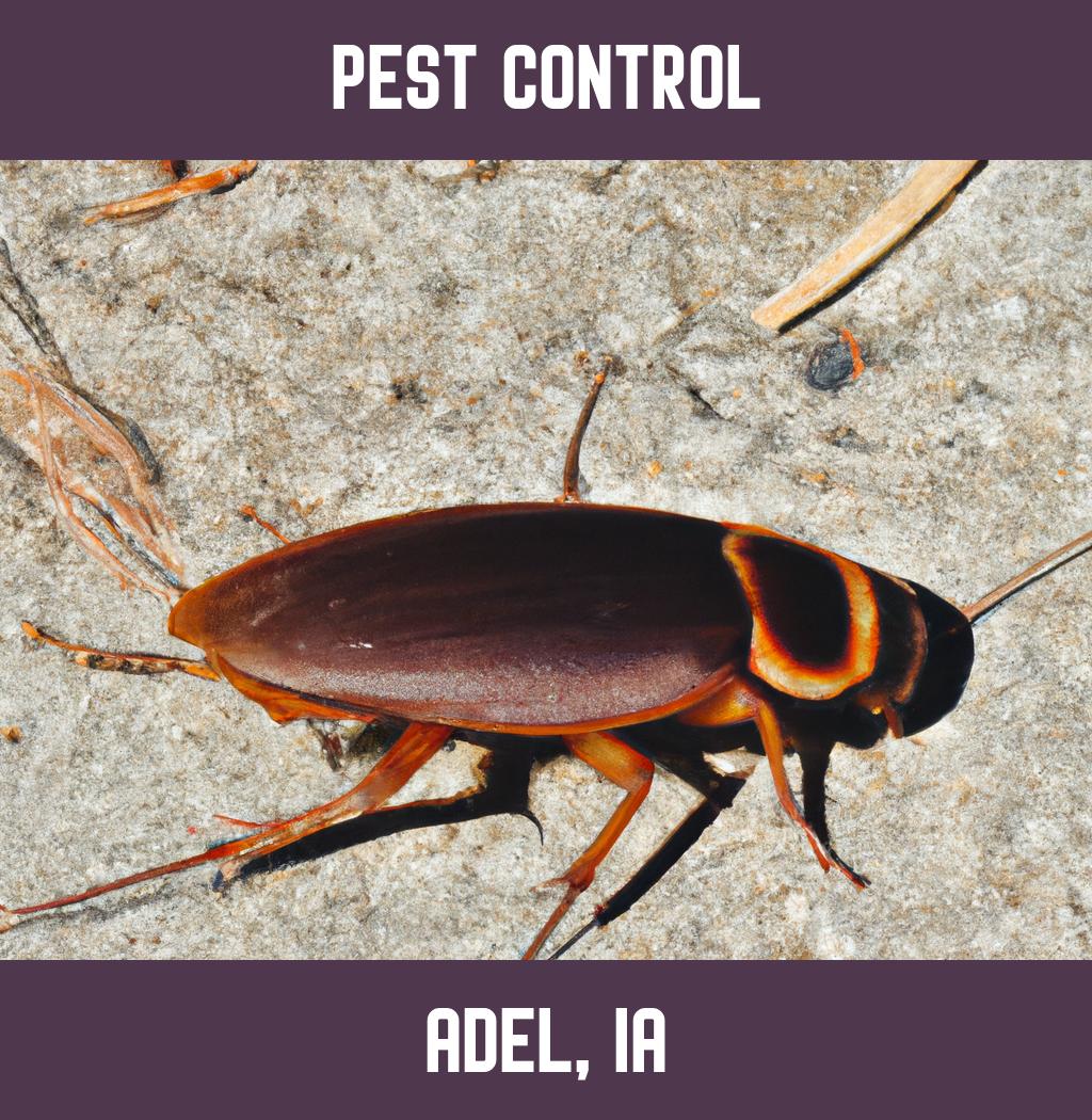 pest control in Adel Iowa