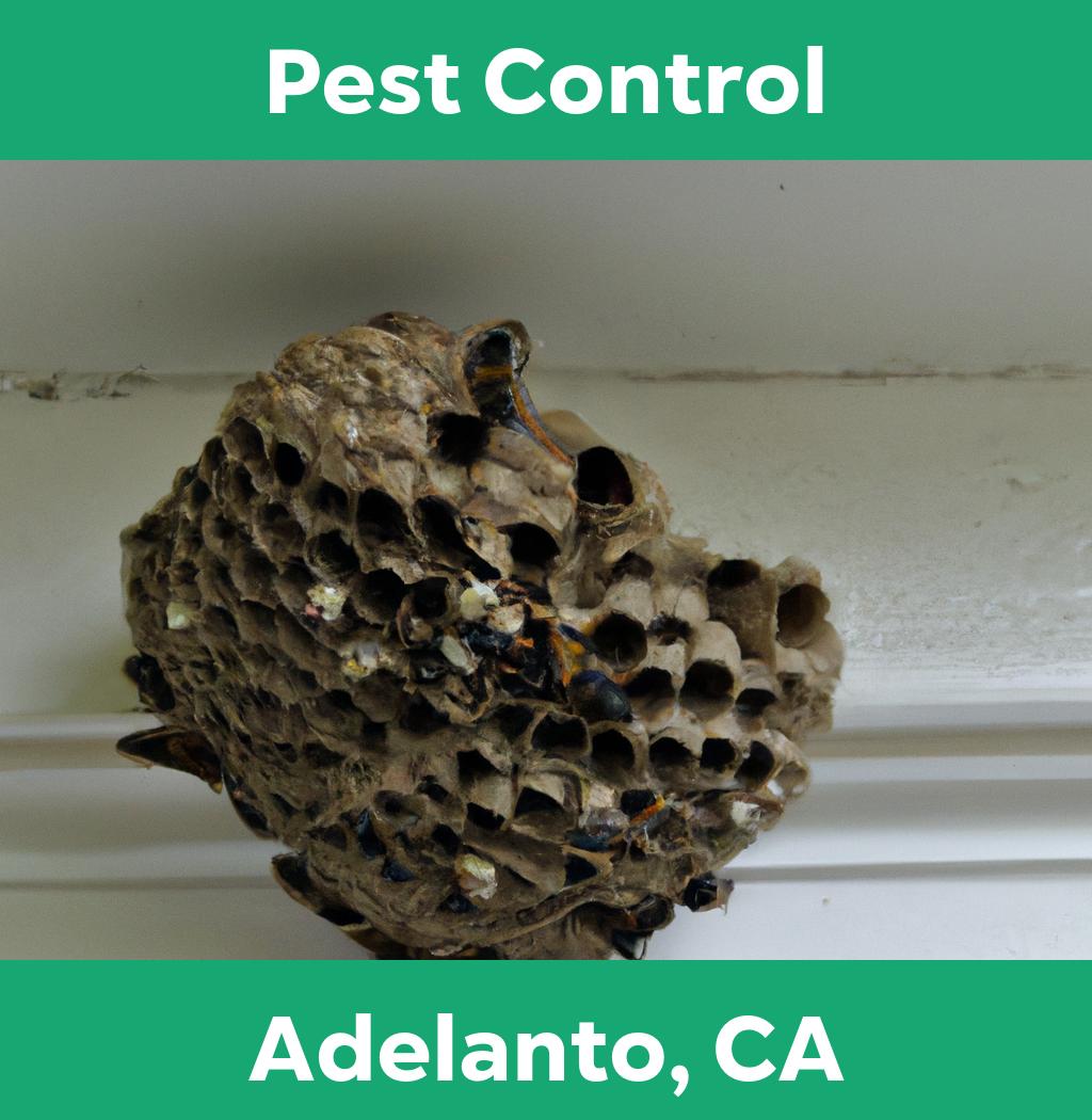 pest control in Adelanto California