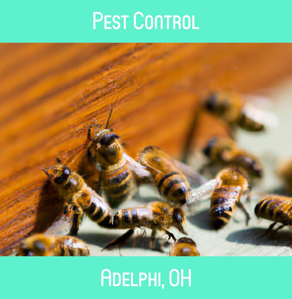 pest control in Adelphi Ohio