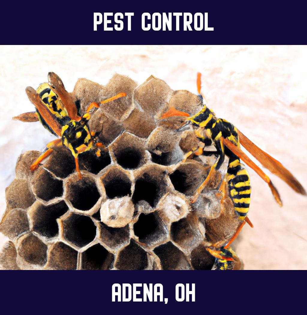 pest control in Adena Ohio