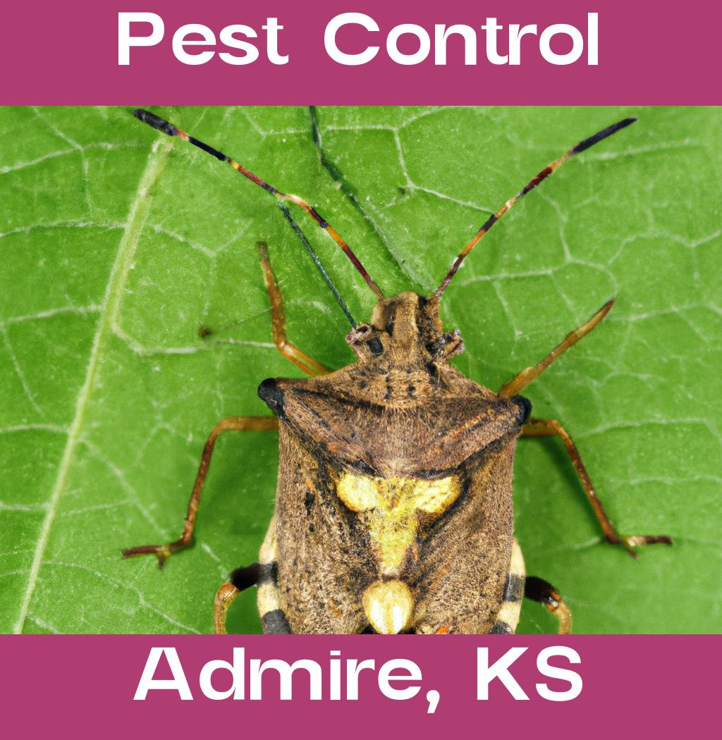 pest control in Admire Kansas