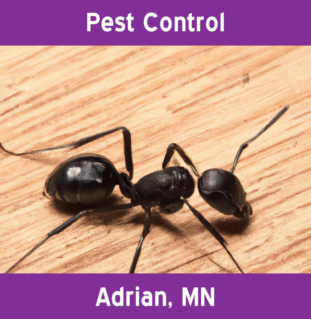 pest control in Adrian Minnesota