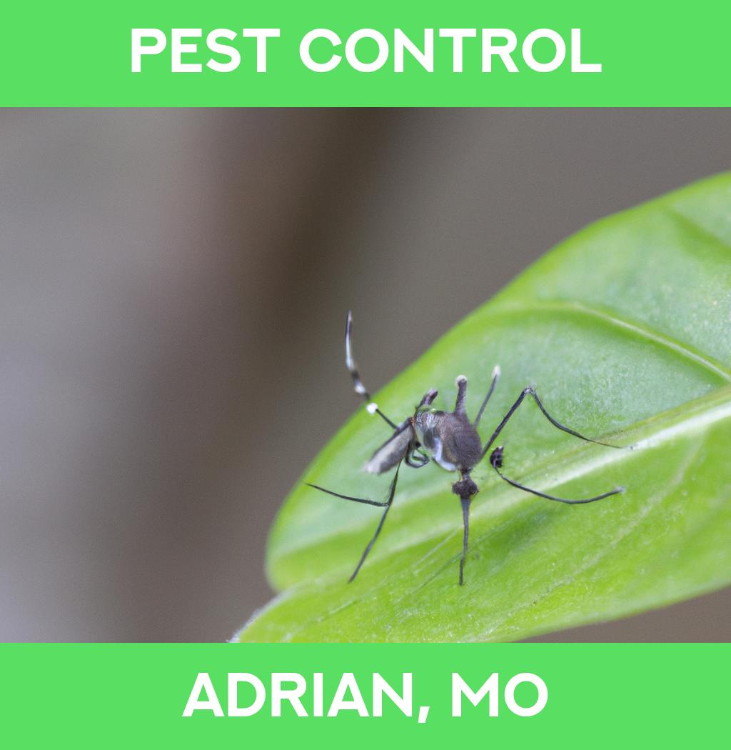 pest control in Adrian Missouri